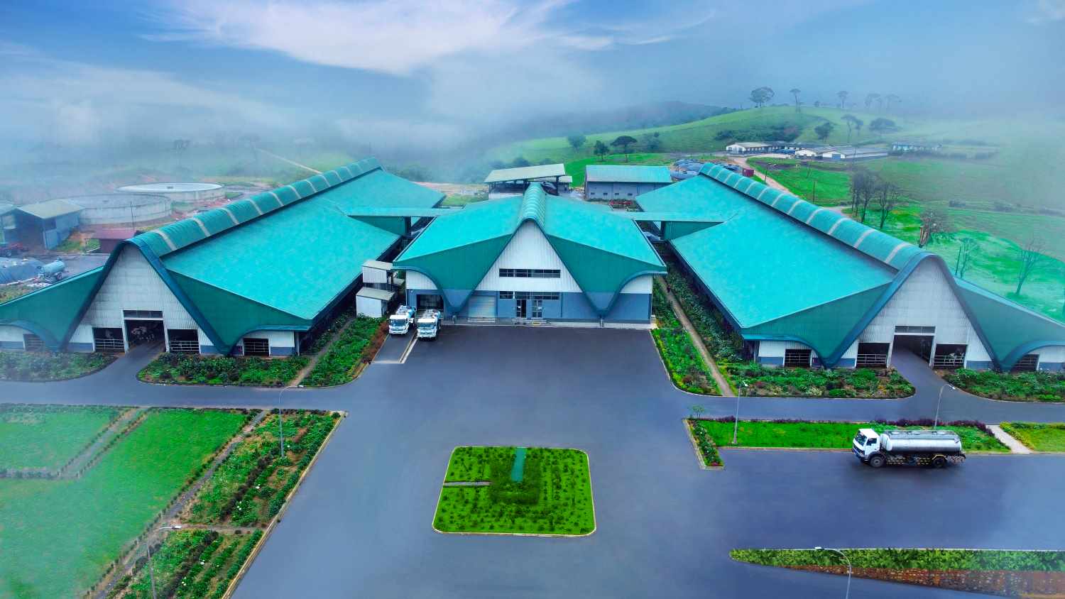 Ambewela Largest Dairy Producer