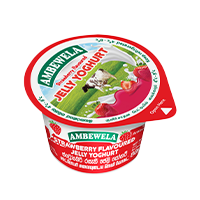 Ambewela Jelly Yoghurt