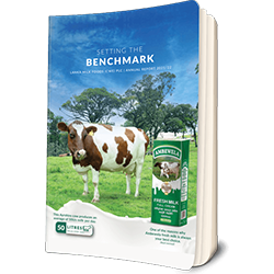 Ambewela Annual Report 2021