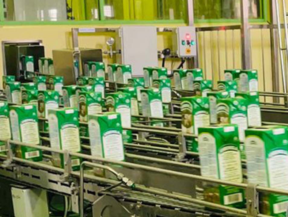 Research in Ambewela Farms