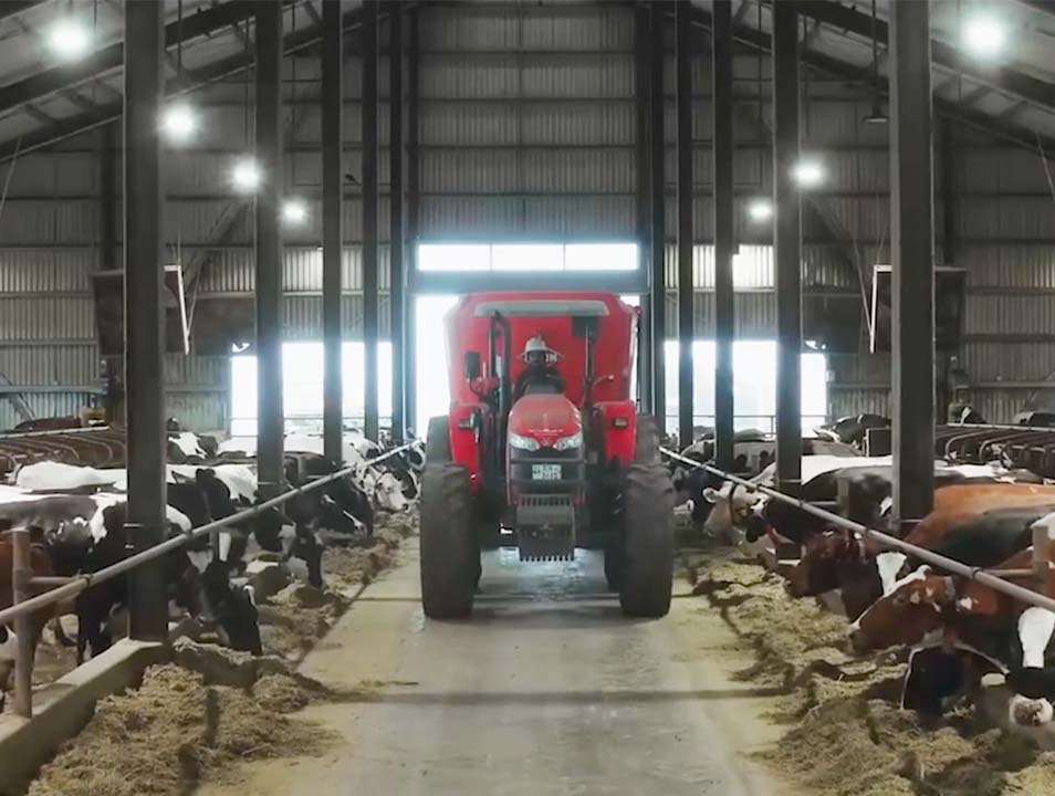 United Dairies Lanka Ltd. (UDL)